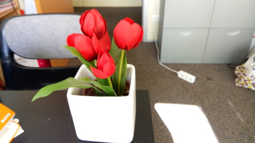 Echantillon photo Jiayu S3