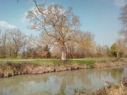 Mode HDR