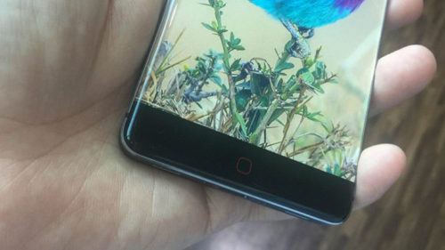 écran sans bordures pour le Elephone P20
