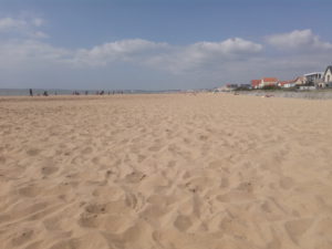IMG_20150311_054131