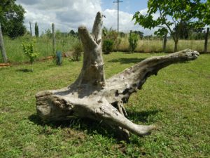 IMG20160618145157