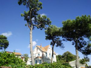 IMG20160618182527