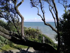 IMG20160618183511