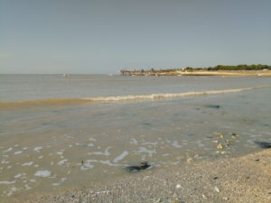 IMG_20160723_104834