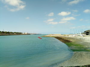 IMG_20160724_112055