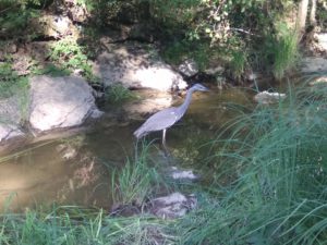 IMG_07082016_180458