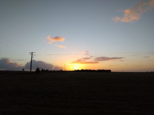 IMG_21082016_071616