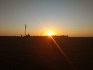 IMG_25082016_072755