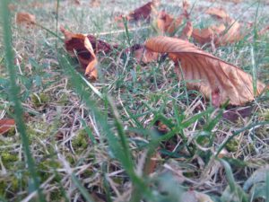 IMG_27082016_082506