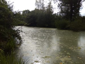 IMG_28082016_104508