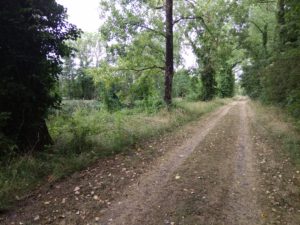 IMG_28082016_104710