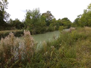 IMG_28082016_105151