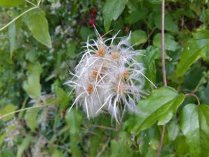 IMG_28082016_105802