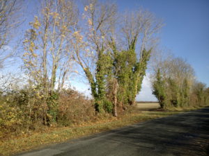 img_20161118_132308