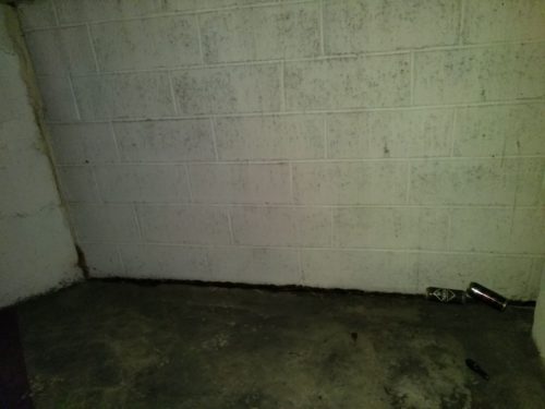 Dans un parking sans lumière, le flash est plutôt bon.