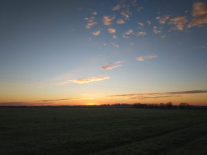 img_20161126_081802