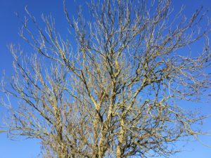 img_20161126_152001