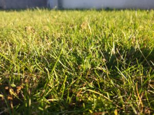 img_20161202_155104