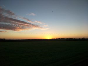 Oppo R9S