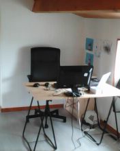 Nomu T10