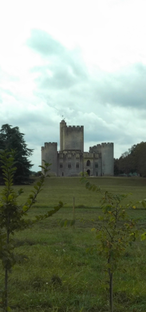 Vivo Nex