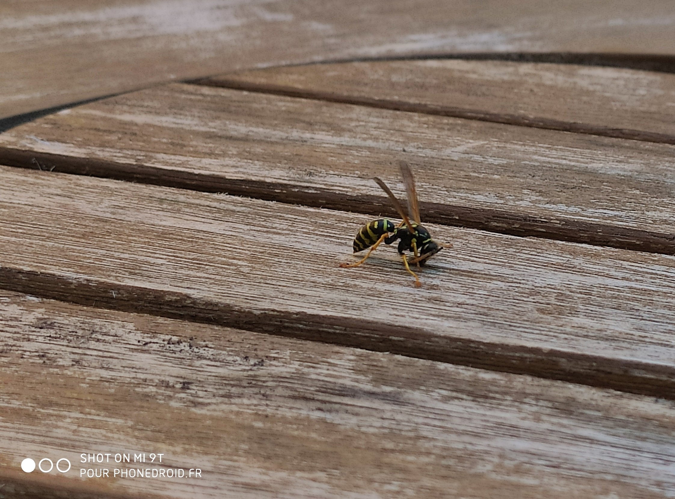 Zoom de jour